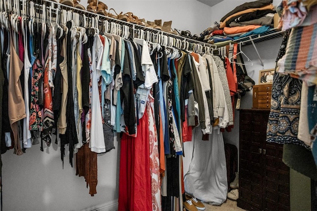 view of spacious closet