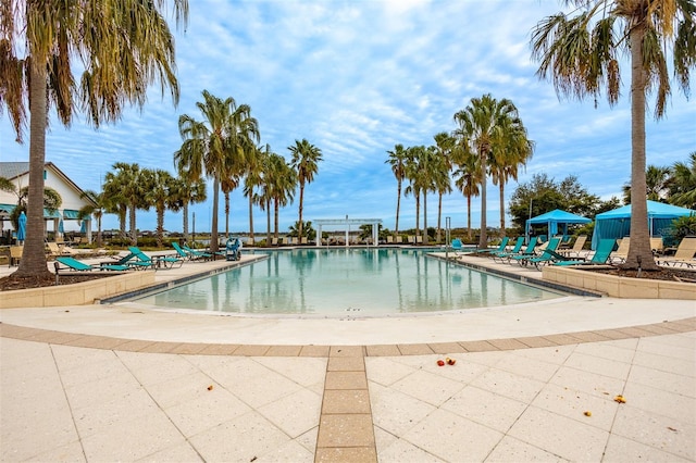 view of pool featuring a patio