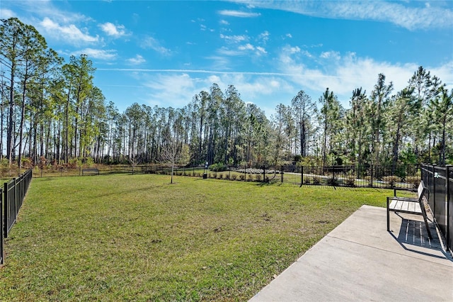 view of yard featuring a patio area