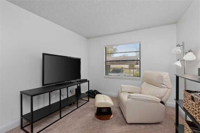 living area featuring a textured ceiling and carpet flooring