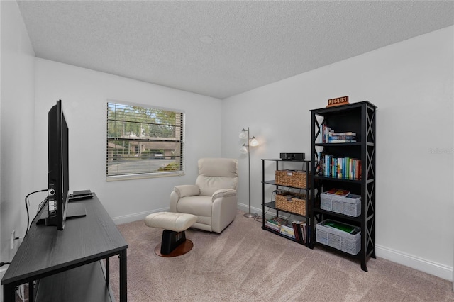 sitting room with carpet floors and a textured ceiling