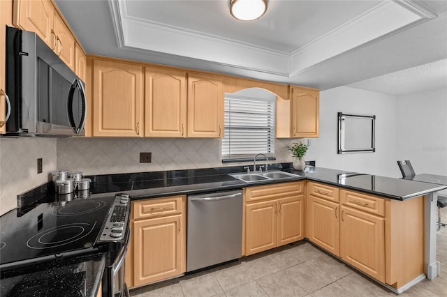 20 Sylvia Pl, Oldsmar, FL 34677 - kitchen featuring stainless steel appliances, a sink, a peninsula, light brown cabinetry, and a tray ceiling