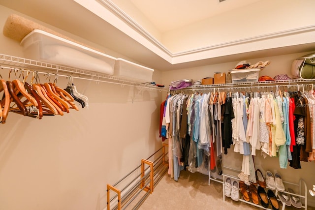 spacious closet with carpet