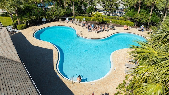 view of pool with a patio