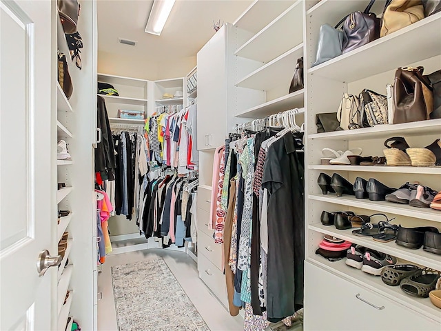 view of walk in closet