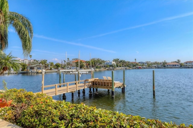 dock area with a water view