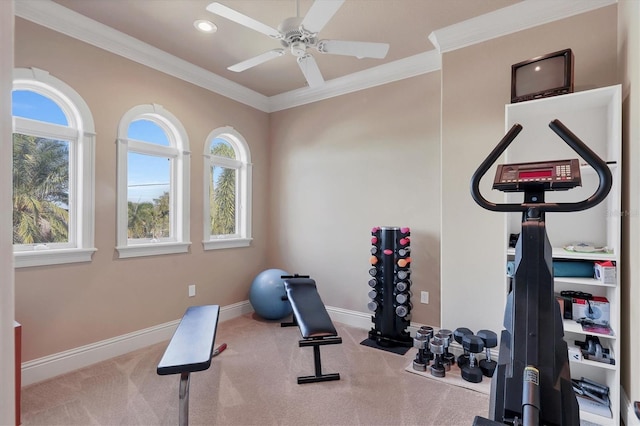 1097 Eden Isle Dr NE, Saint Petersburg, FL 33704 - photo 49