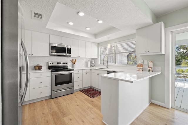 kitchen featuring sink, white cabinets, light hardwood / wood-style floors, a tray ceiling, and stainless steel appliances