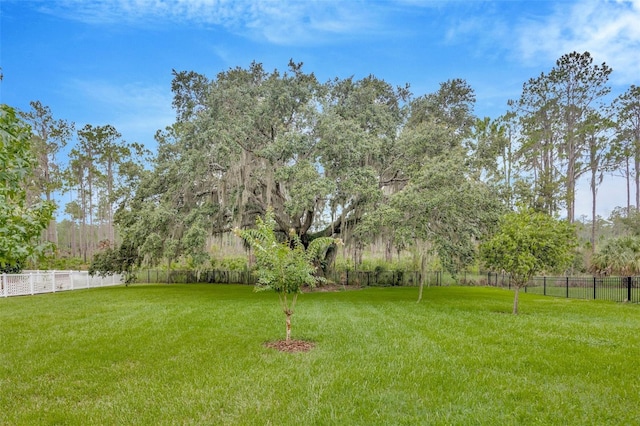 view of yard