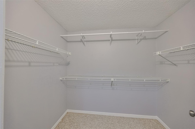 spacious closet featuring carpet floors