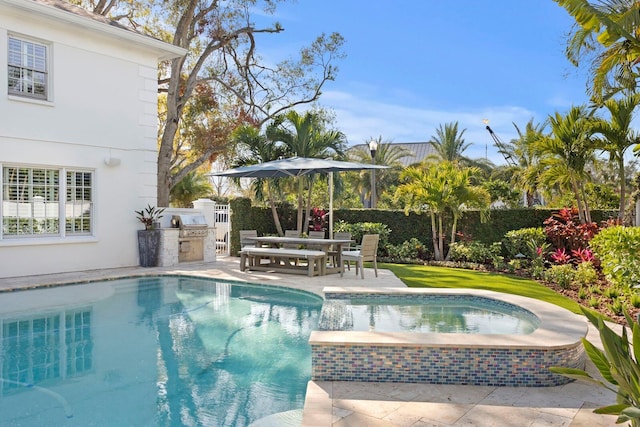 view of swimming pool with an outdoor kitchen and a patio