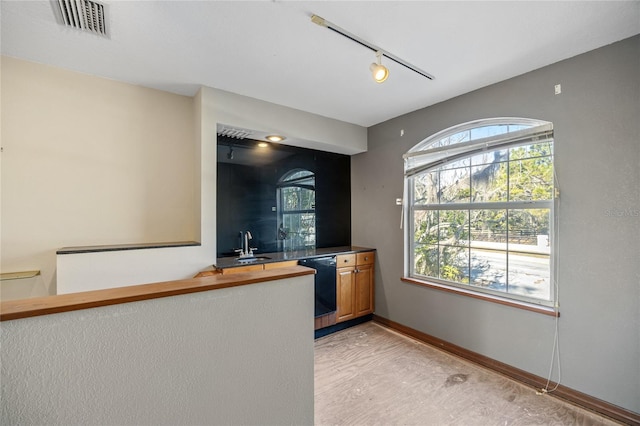 kitchen with a healthy amount of sunlight, sink, track lighting, and dishwasher