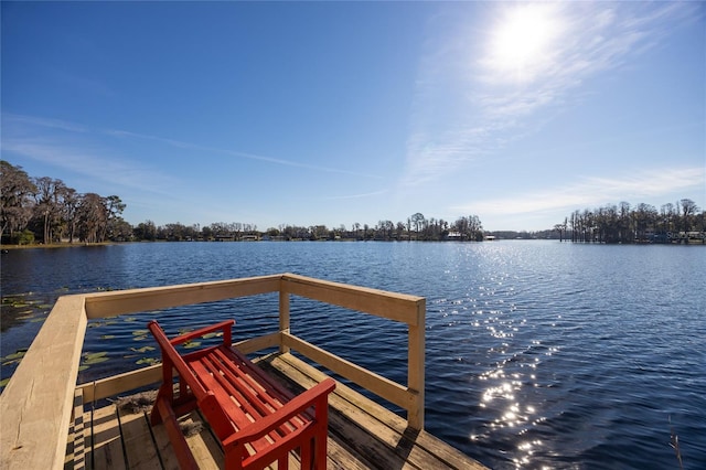 dock area with a water view