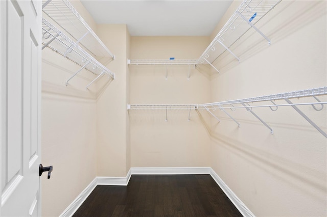 spacious closet with hardwood / wood-style flooring