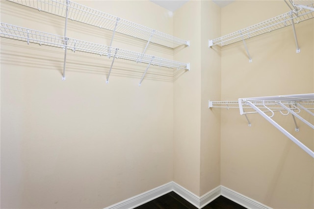 walk in closet featuring hardwood / wood-style flooring