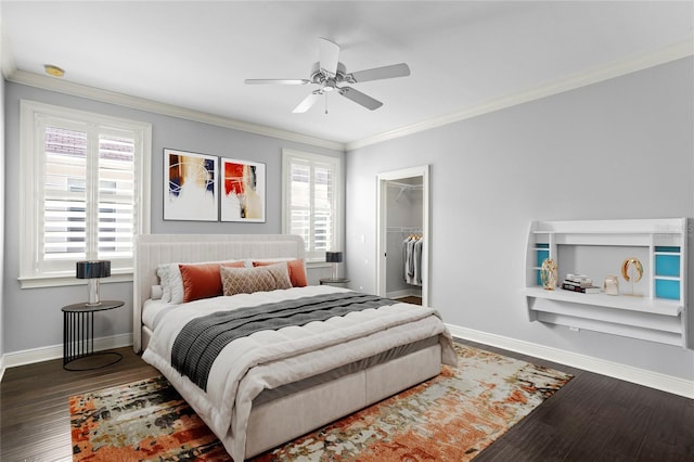 bedroom featuring crown molding, a spacious closet, dark hardwood / wood-style flooring, a closet, and ceiling fan