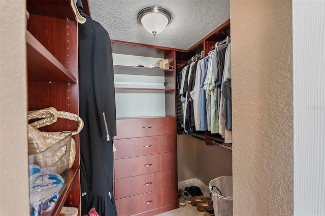 view of spacious closet