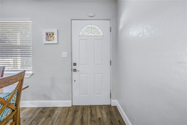 entrance foyer with dark wood-type flooring