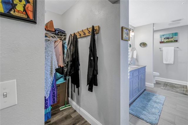 interior space featuring sink and hardwood / wood-style floors