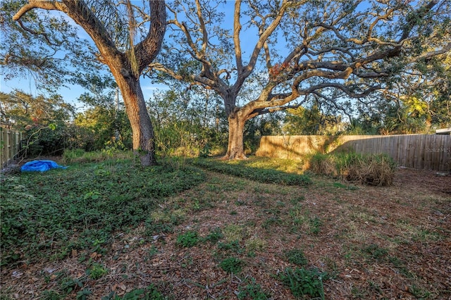 view of yard