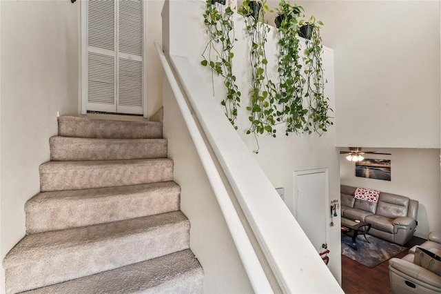 staircase featuring wood-type flooring and ceiling fan