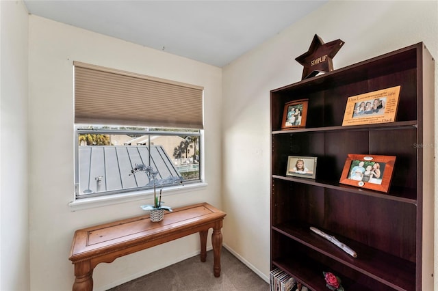 interior space featuring carpet floors