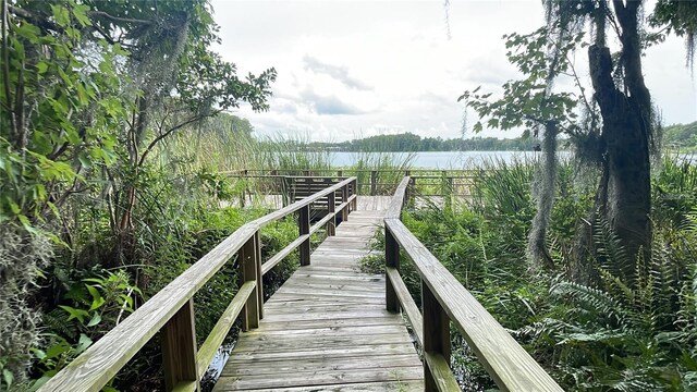 dock area with a water view