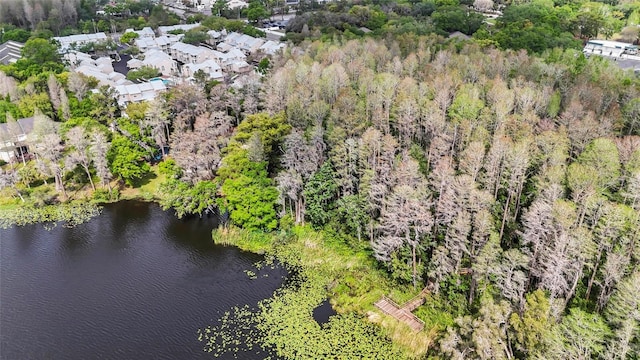3406 Waterbridge Dr, Tampa, FL 33618 - birds eye view of property with a water view and a forest view