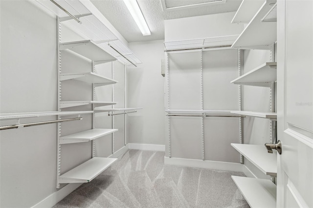 spacious closet featuring light carpet