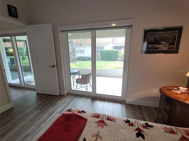 entryway featuring hardwood / wood-style flooring