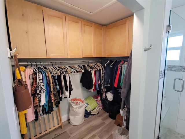 walk in closet with light hardwood / wood-style floors