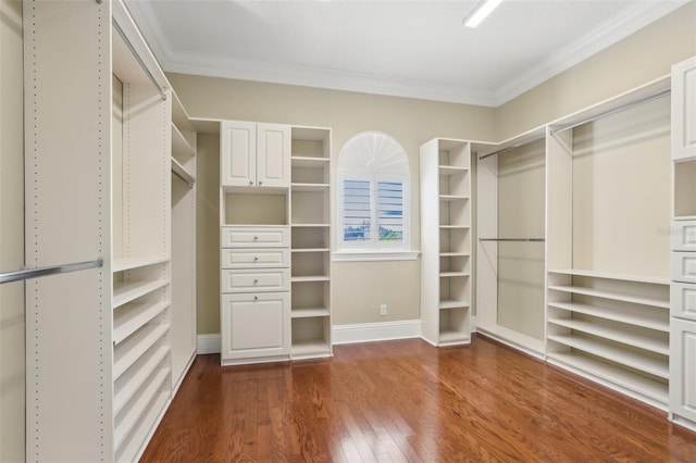 walk in closet with dark hardwood / wood-style flooring