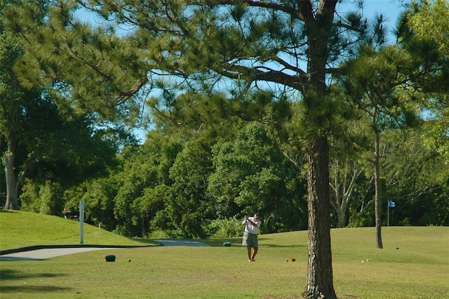 view of community featuring a lawn