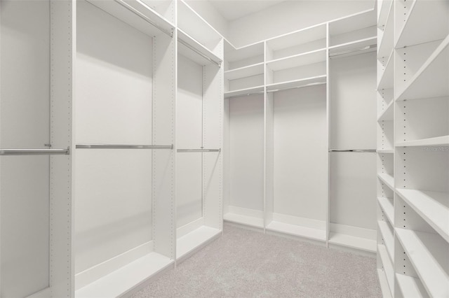 walk in closet featuring carpet flooring