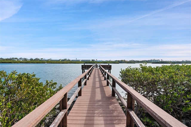 dock area with a water view