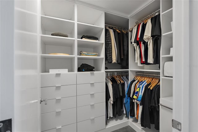 view of spacious closet