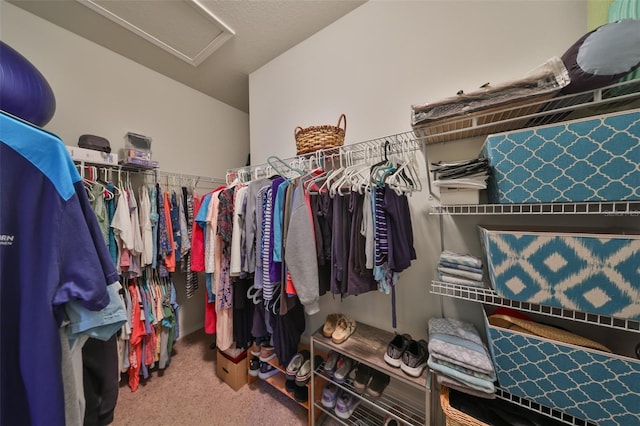 spacious closet featuring carpet floors