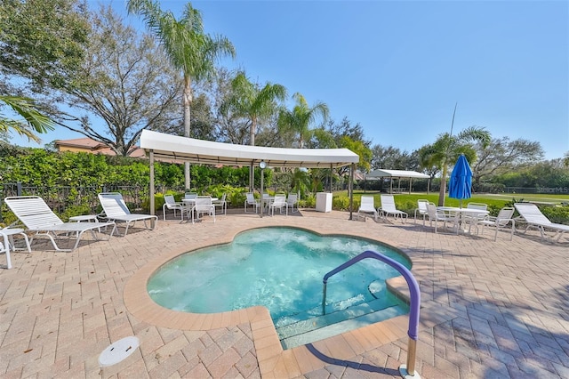 view of pool featuring a patio area