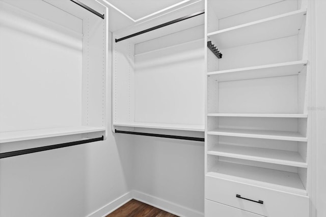 walk in closet featuring dark hardwood / wood-style flooring