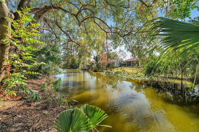 view of water feature