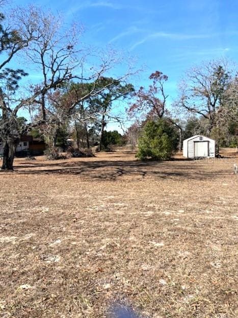 view of yard featuring a storage unit