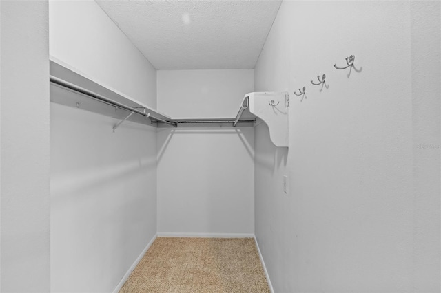 spacious closet with light colored carpet