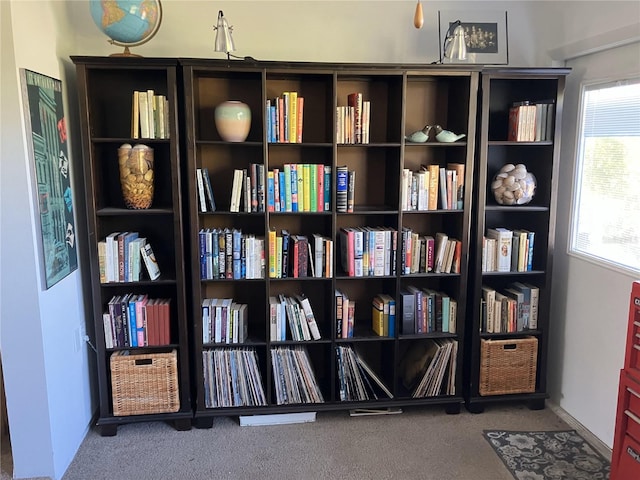 interior space featuring carpet