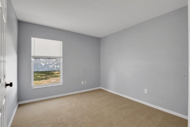 empty room featuring carpet