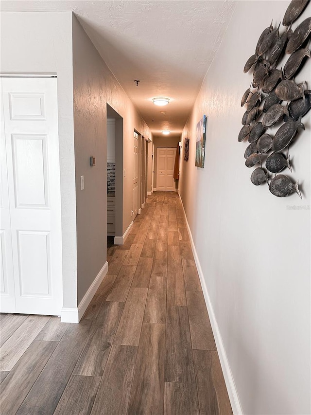 corridor with dark hardwood / wood-style floors