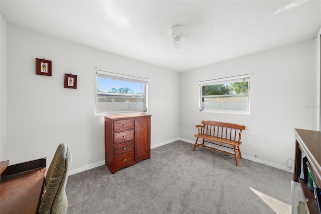 interior space featuring light colored carpet