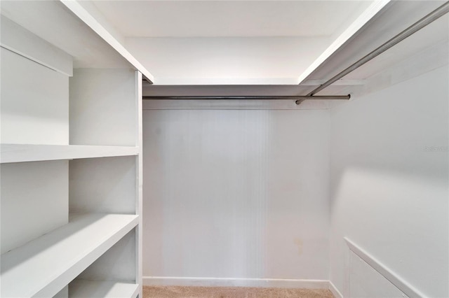 walk in closet featuring light colored carpet