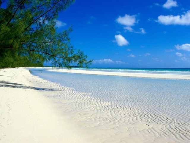 view of water feature featuring a beach view