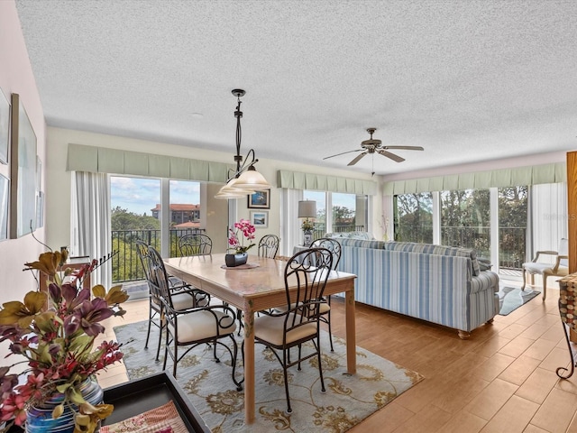 134 Mariner Dr Unit 134, Tarpon Springs, FL 34689 - dining room with ceiling fan, a textured ceiling, and light wood-type flooring