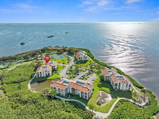 134 Mariner Dr Unit 134, Tarpon Springs, FL 34689 - bird's eye view with a water view